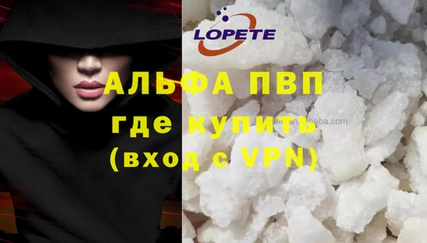 молекула духа Алексин