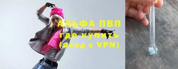 молекула духа Алексин