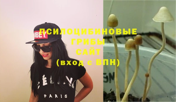 COCAINE Алексеевка