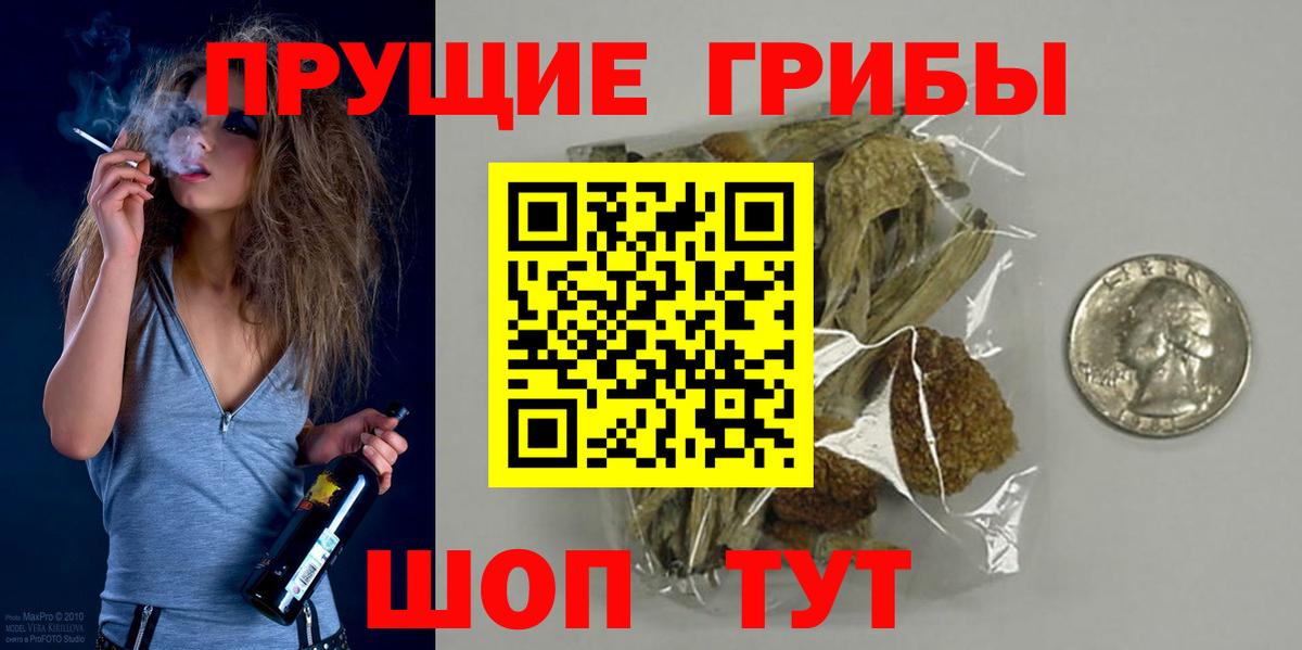 Южно-Сахалинск  Псилоцибиновые грибы прущие грибы  Вход с VPN 