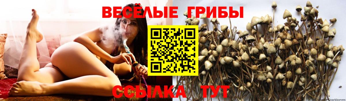 Галлюциногенные грибы мухоморы Южно-Сахалинск